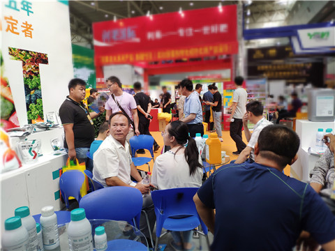 新疆，植保會(huì)，拉姆拉，翠姆，伯示麥