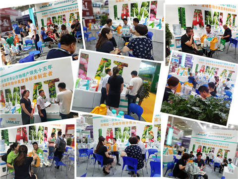 新疆，植保會(huì)，拉姆拉，翠姆，伯示麥