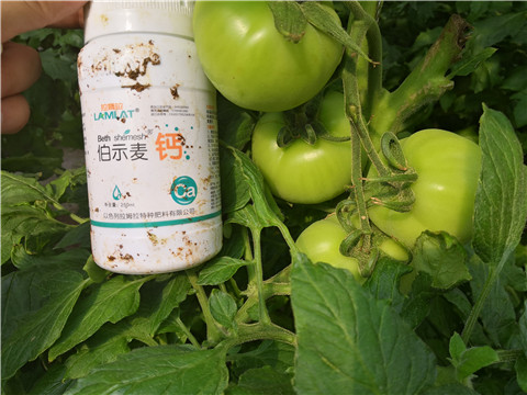 葉面肥，磷酸二氫鉀，鈣肥