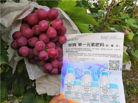 水溶肥，鈣肥，硼肥