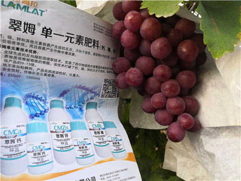 水溶肥，鈣肥，硼肥