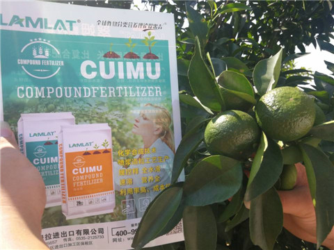 菌劑，水溶肥，