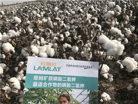 水溶肥，根碧多，生物菌劑