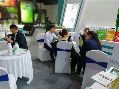 水溶肥，葉面肥