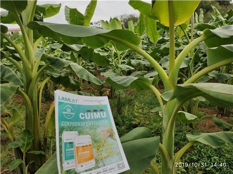 葉面肥，微生物菌劑，硼肥，水溶肥