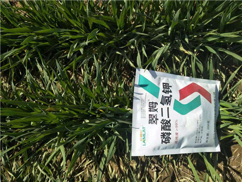 磷酸二氫鉀，