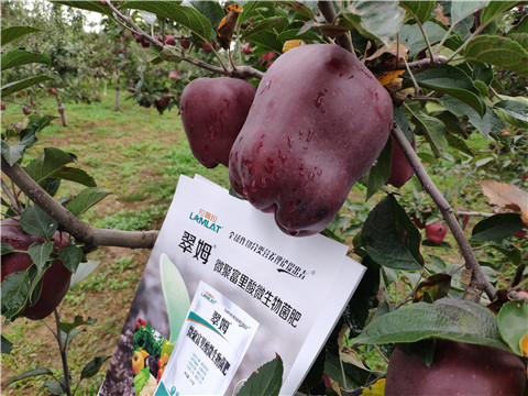 微生物菌劑，