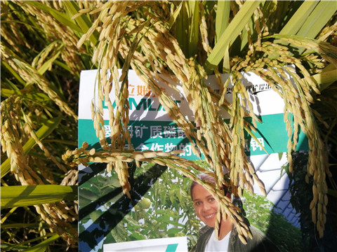 水溶肥，磷酸二氫鉀，