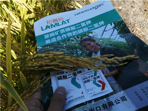 水溶肥，磷酸二氫鉀，