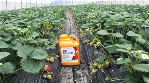 水溶肥，翠姆