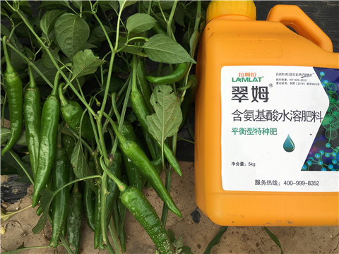 根碧多，微生物菌，葉面肥