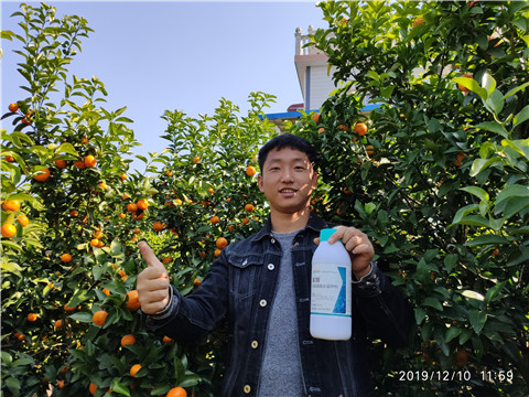 硼肥，拉姆拉