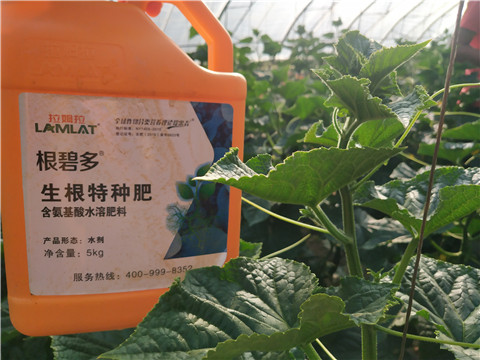 拉姆拉，根碧多，微生物菌劑