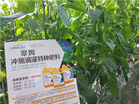 水溶肥，硼肥