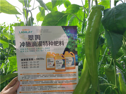 水溶肥，硼肥