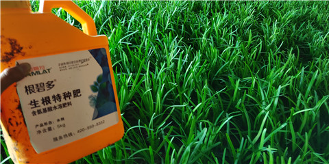 根碧多，拉姆拉