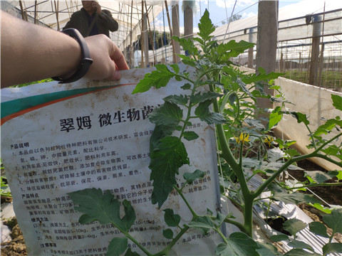 微生物菌劑 ，拉姆拉翠姆