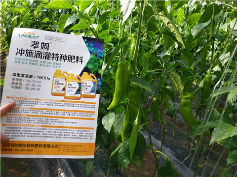 水溶肥，拉姆拉