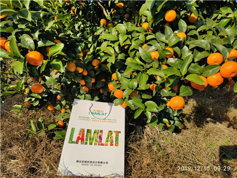 沖施肥，拉姆拉