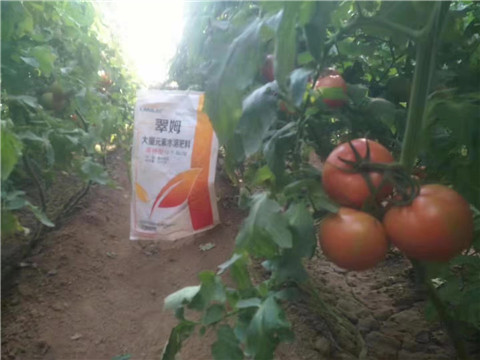 大量元素水溶肥，拉姆拉 