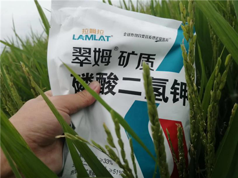農(nóng)資經(jīng)銷商，拉姆拉，磷酸二氫鉀
