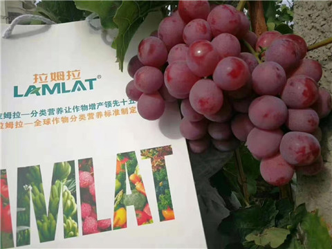 葉面肥，微生物菌劑