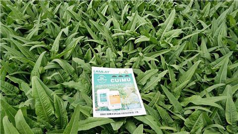 葉面肥，磷酸二氫鉀