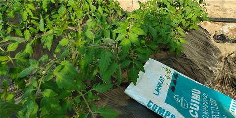 磷酸二氫鉀，鈣肥，水溶肥