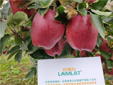 水溶肥 拉姆拉，翠姆