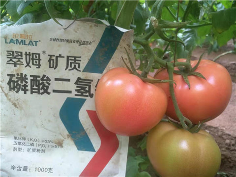 水溶肥，根碧多