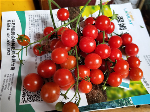 磷酸二氫鉀，鈣肥，根碧多