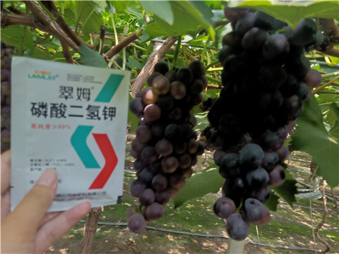 磷酸二氫鉀，葉面肥