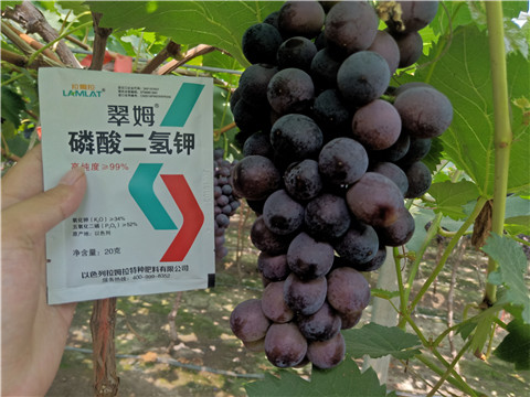 磷酸二氫鉀，葉面肥