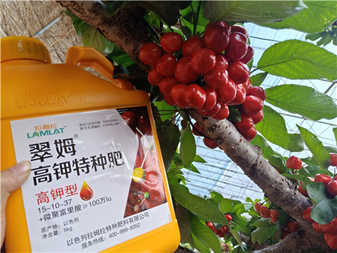 水溶肥，根碧多