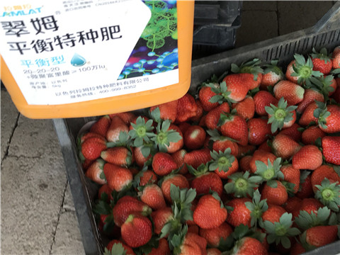 沖施肥，磷酸二氫鉀