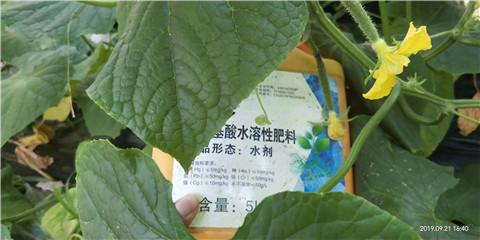 水溶肥，翠姆