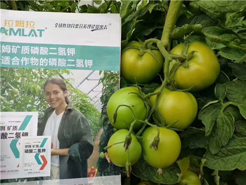 磷酸二氫鉀，鈣肥，水溶肥