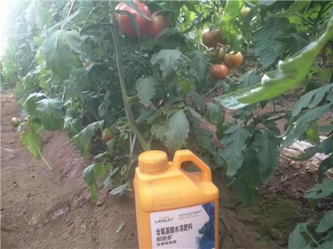 根碧多，微生物菌劑