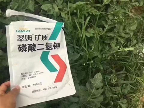 磷酸二氫鉀，硼肥，沖施肥