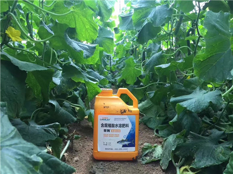 水溶肥，翠姆