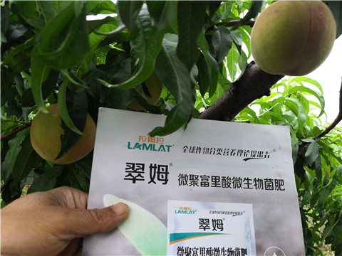 根碧多，微生物菌劑