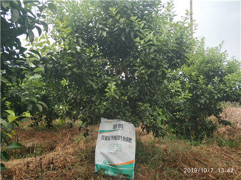 微生物菌劑，拉姆拉