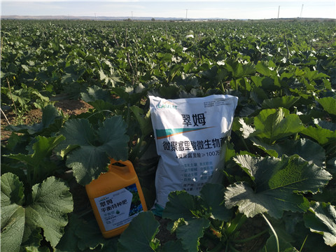 微生物菌劑，磷酸二氫鉀