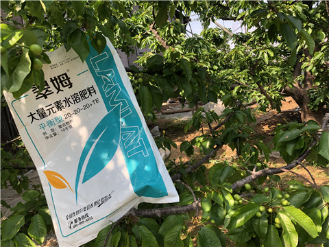 大量元素水溶肥，磷酸二氫鉀，硼肥