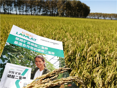 葉面肥，磷酸二氫鉀，安碧解