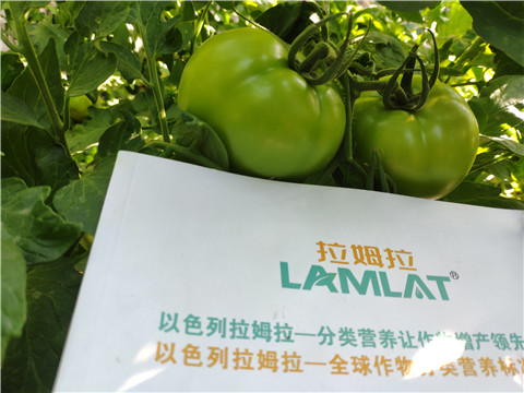 微生物菌劑，拉姆拉，伯示麥