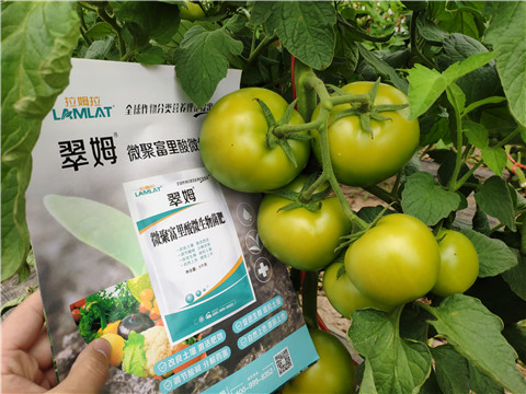 葉面肥，微生物菌劑，磷酸二氫鉀