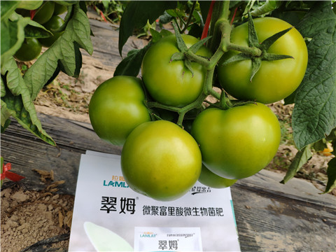 葉面肥，微生物菌劑，磷酸二氫鉀