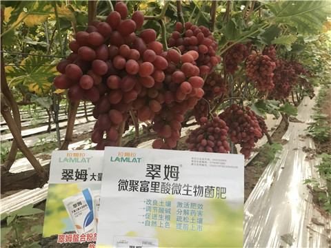 微生物菌劑，硼肥，鈣肥