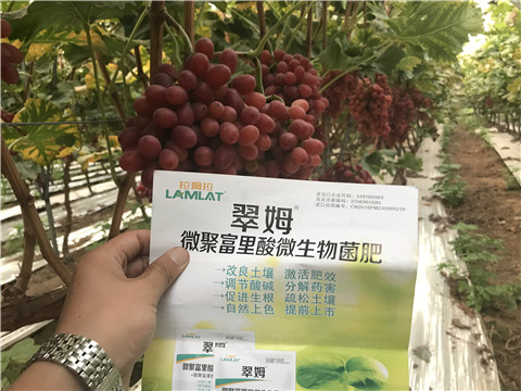 微生物菌劑，硼肥，鈣肥